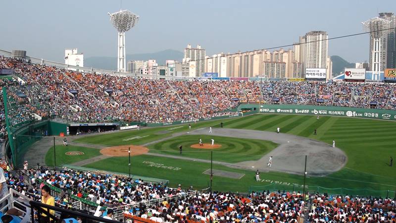 야구 속 과학 원리 baseball science principles 야구 속 과학 원리 홈런 경기장 투수 타자 장면