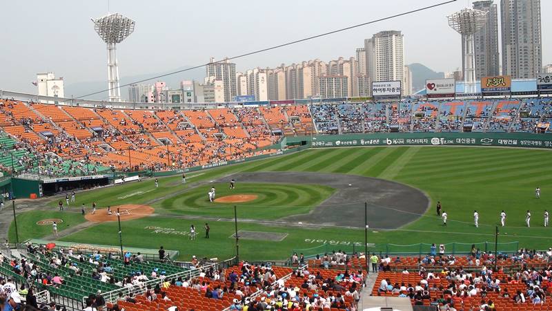 야구 속 과학 원리를 보여주는 사직야구장 경기 장면